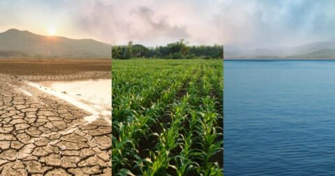 climate change